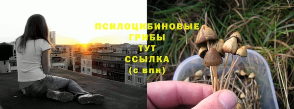 прущие крисы Алексин