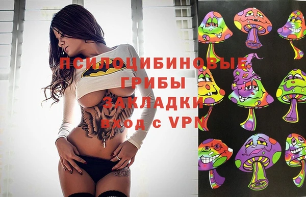винт Алзамай