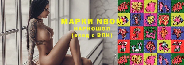 винт Алзамай