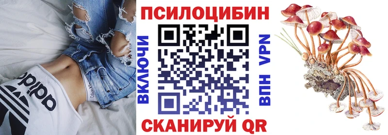 mega онион  Ставрополь  Галлюциногенные грибы MAGIC MUSHROOMS  как найти закладки 