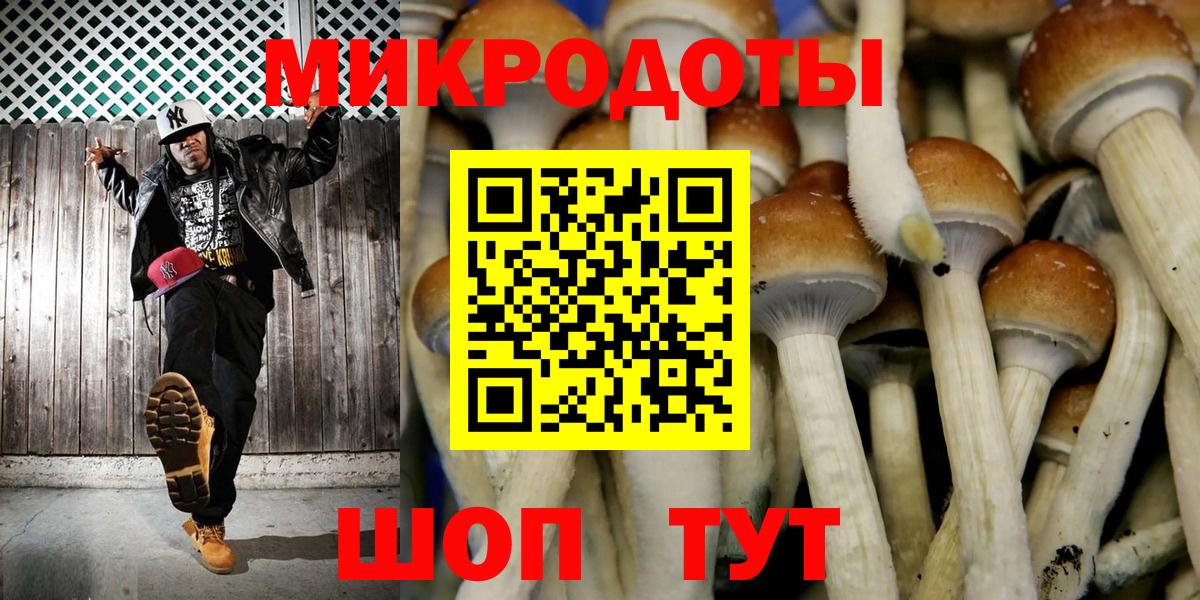 Галлюциногенные грибы мухоморы  Вход с VPN  Ставрополь 