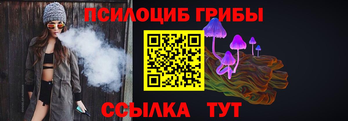 Галлюциногенные грибы мицелий Ставрополь